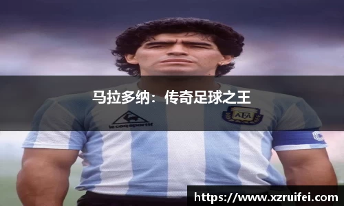 中欧体育